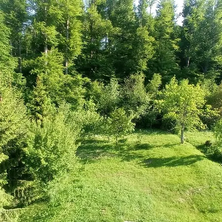 Mirela * Fužine