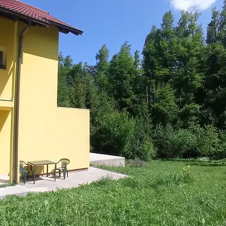 Mirela